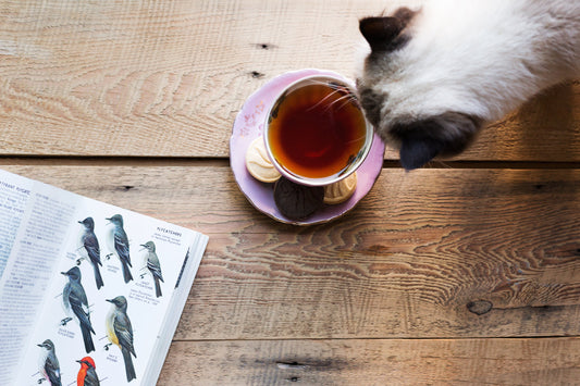 The Two Rules of Tea